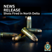 News Release, Shots Fired, No Injuries, Delta Police, Public Assistance, CCTV 