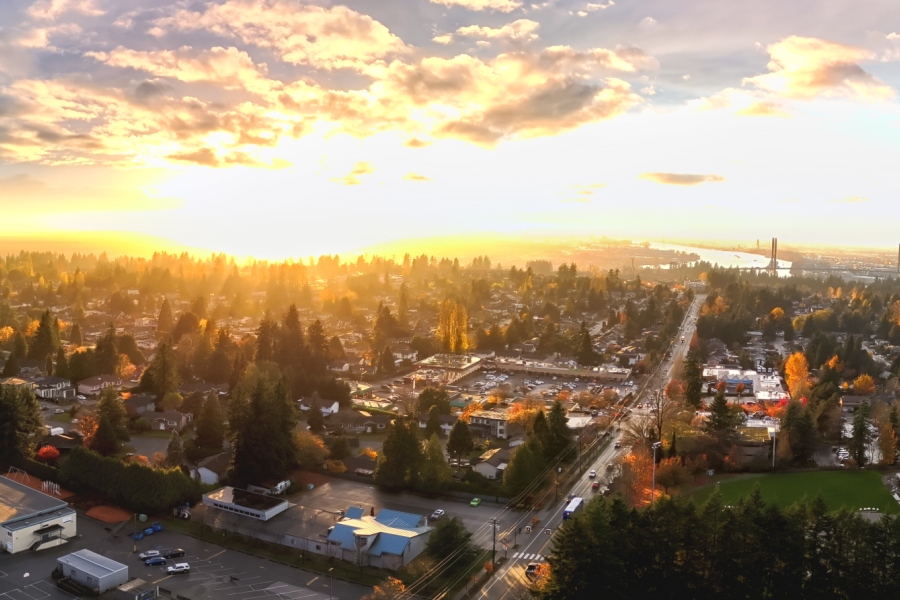Delta Drone View