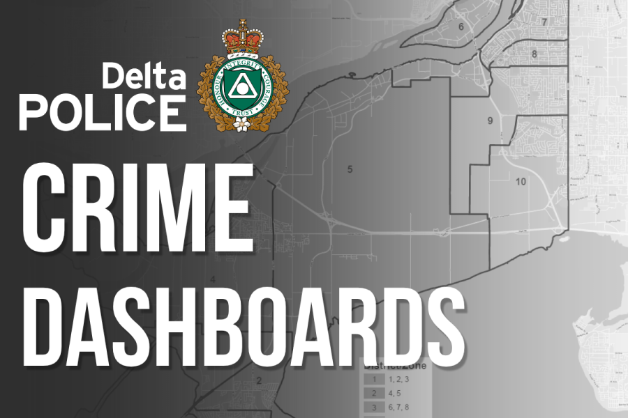 Crime Dashboard Card Image for DPD External Site Homepage (October 20th, 2026).png